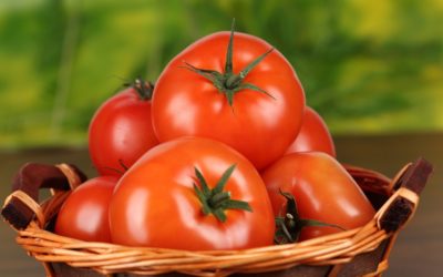 9 powodów, dla których warto jeść pomidory